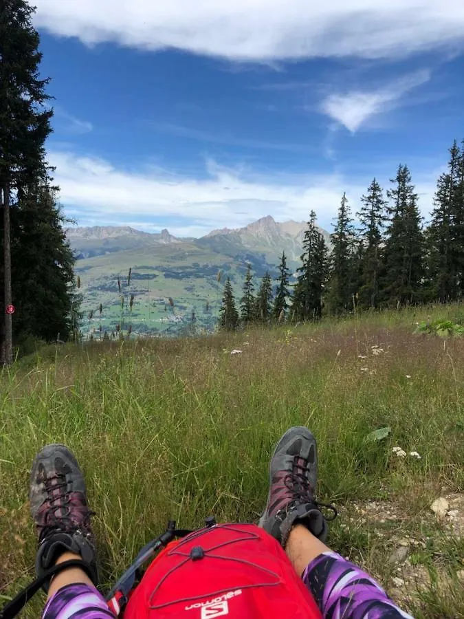 Le Falyoucher Peisey-Nancroix Appartement