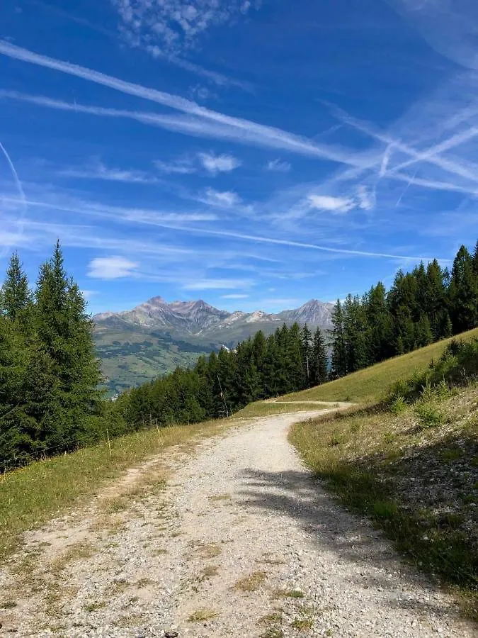 Apartment Le Falyoucher Peisey-Nancroix France